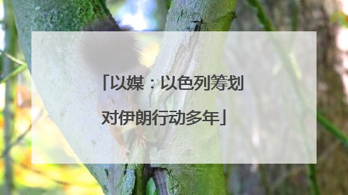 以媒：以色列筹划对伊朗行动多年