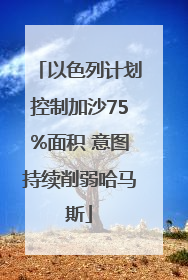 以色列计划控制加沙75%面积 意图持续削弱哈马斯