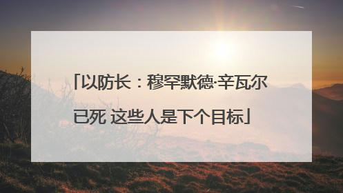 以防长：穆罕默德·辛瓦尔已死 这些人是下个目标