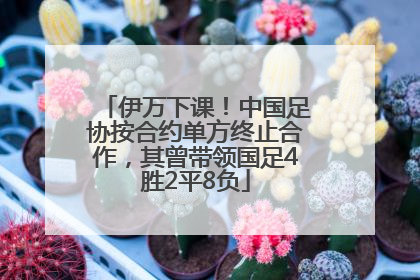 伊万下课！中国足协按合约单方终止合作，其曾带领国足4胜2平8负