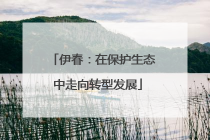 伊春：在保护生态中走向转型发展