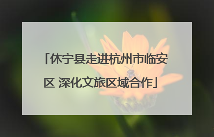 休宁县走进杭州市临安区 深化文旅区域合作