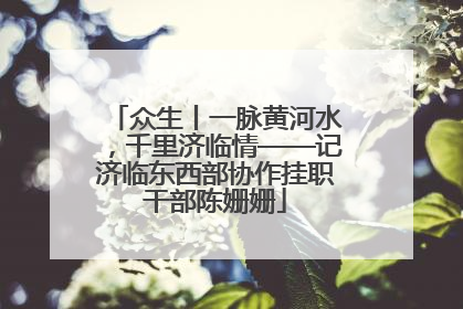众生丨一脉黄河水，千里济临情——记济临东西部协作挂职干部陈姗姗