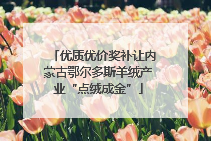 优质优价奖补让内蒙古鄂尔多斯羊绒产业“点绒成金”
