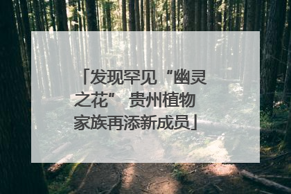 发现罕见“幽灵之花” 贵州植物家族再添新成员