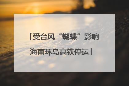 受台风“蝴蝶”影响 海南环岛高铁停运