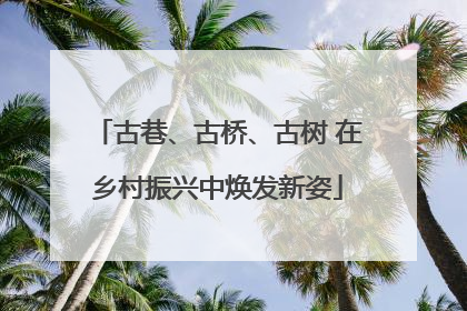 古巷、古桥、古树 在乡村振兴中焕发新姿