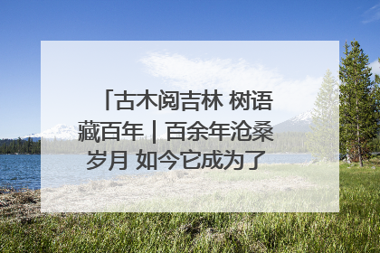 古木阅吉林 树语藏百年｜百余年沧桑岁月 如今它成为了“镇园之宝”