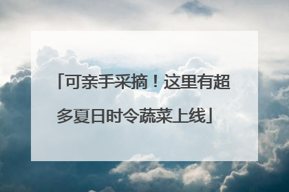 可亲手采摘！这里有超多夏日时令蔬菜上线
