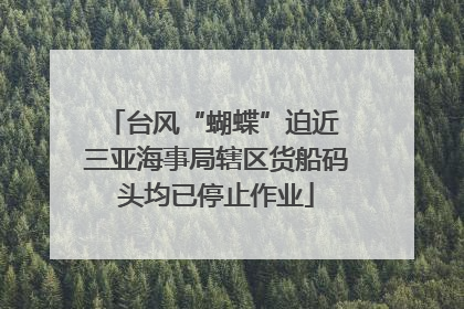 台风“蝴蝶”迫近 三亚海事局辖区货船码头均已停止作业