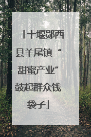 十堰郧西县羊尾镇“甜蜜产业”鼓起群众钱袋子