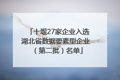 十堰27家企业入选湖北省数据要素型企业（第二批）名单