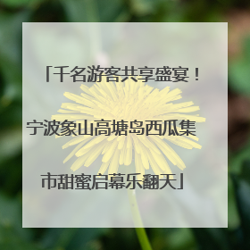 千名游客共享盛宴！宁波象山高塘岛西瓜集市甜蜜启幕乐翻天