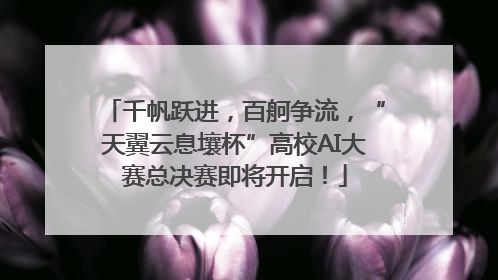 千帆跃进，百舸争流，“天翼云息壤杯”高校AI大赛总决赛即将开启！