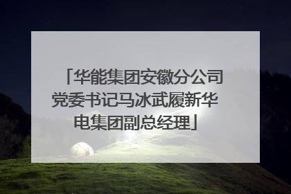 华能集团安徽分公司党委书记马冰武履新华电集团副总经理
