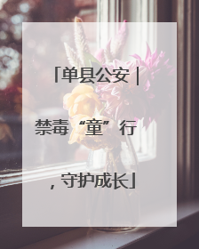单县公安｜禁毒“童”行，守护成长