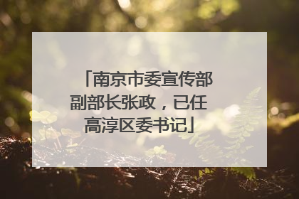 南京市委宣传部副部长张政，已任高淳区委书记