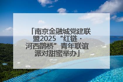 南京金融城党建联盟2025“红链・河西鹊桥”青年联谊派对甜蜜举办