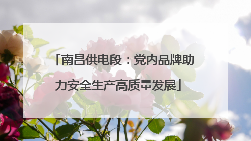 南昌供电段：党内品牌助力安全生产高质量发展