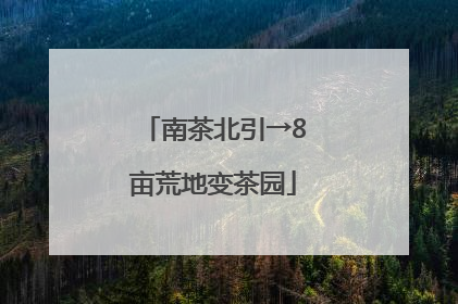 南茶北引→8亩荒地变茶园