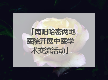 南阳哈密两地医院开展中医学术交流活动