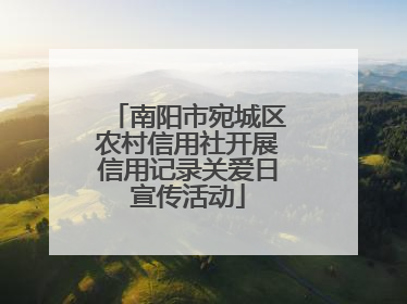 南阳市宛城区农村信用社开展信用记录关爱日宣传活动