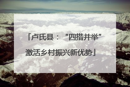 卢氏县：“四措并举”激活乡村振兴新优势