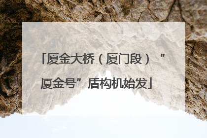 厦金大桥（厦门段）“厦金号”盾构机始发