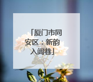 厦门市同安区：新韵入闾巷