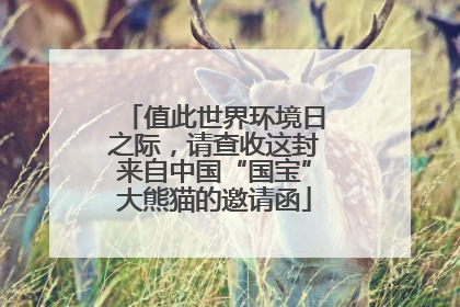 值此世界环境日之际，请查收这封来自中国“国宝”大熊猫的邀请函