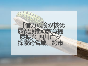 借力成渝双核优质资源推动教育提质振兴 四川广安探索跨省域、跨市域教育协同发展新路径