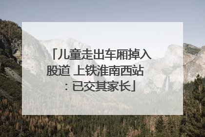 儿童走出车厢掉入股道 上铁淮南西站：已交其家长