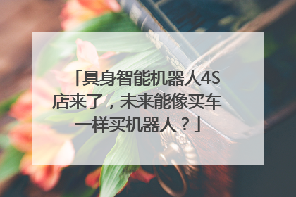 具身智能机器人4S店来了，未来能像买车一样买机器人？