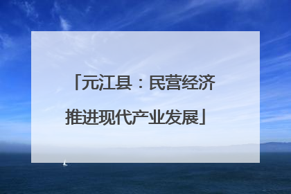 元江县：民营经济推进现代产业发展