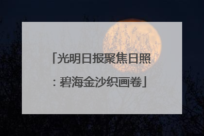 光明日报聚焦日照：碧海金沙织画卷