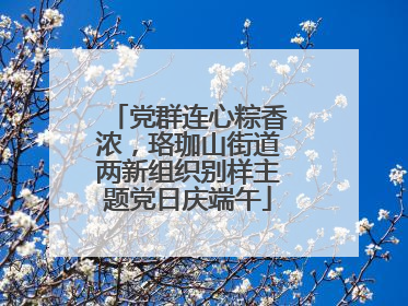 党群连心粽香浓，珞珈山街道两新组织别样主题党日庆端午