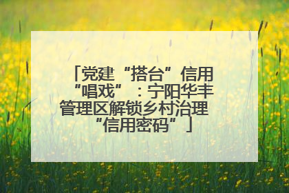 党建“搭台”信用“唱戏”：宁阳华丰管理区解锁乡村治理“信用密码”
