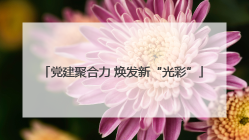 党建聚合力 焕发新“光彩”