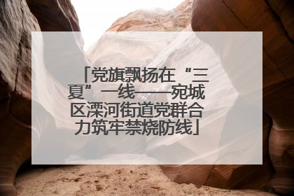 党旗飘扬在“三夏”一线——宛城区溧河街道党群合力筑牢禁烧防线
