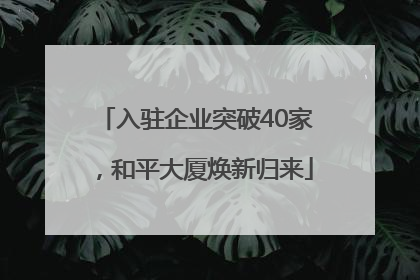 入驻企业突破40家，和平大厦焕新归来