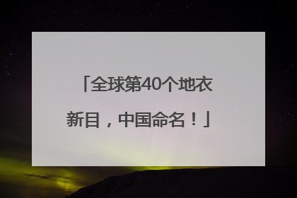 全球第40个地衣新目，中国命名！