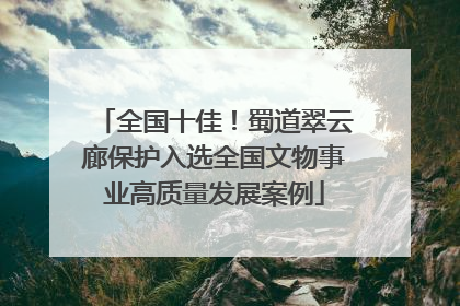 全国十佳！蜀道翠云廊保护入选全国文物事业高质量发展案例