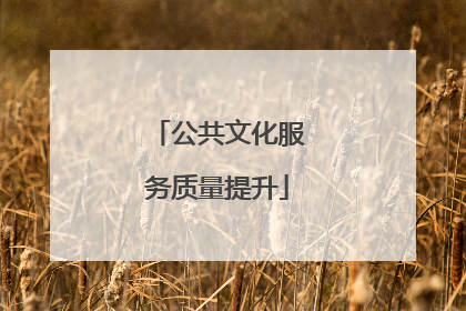 公共文化服务质量提升