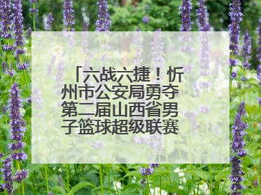 六战六捷！忻州市公安局勇夺第二届山西省男子篮球超级联赛忻州赛区市直职工组比赛冠军