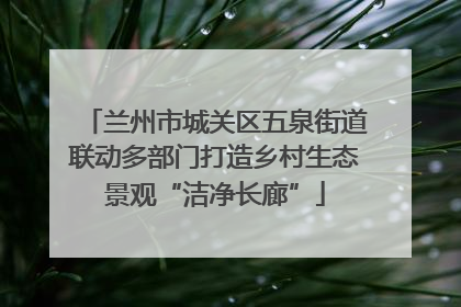 兰州市城关区五泉街道联动多部门打造乡村生态景观“洁净长廊”