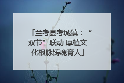 兰考县考城镇：“双节”联动 厚植文化根脉铸魂育人