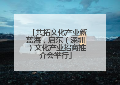 共拓文化产业新蓝海，启东（深圳）文化产业招商推介会举行