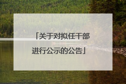 关于对拟任干部进行公示的公告