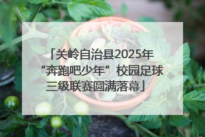 关岭自治县2025年“奔跑吧少年”校园足球三级联赛圆满落幕