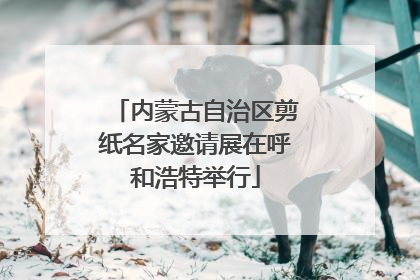 内蒙古自治区剪纸名家邀请展在呼和浩特举行